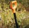 Лопата штикова Fiskars Solid, 117см, 1.85кг (1066716)
