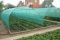 Сітка захисна HDPE.green, 3x50м, зелена, щільність 80г/кв.м (an000022)